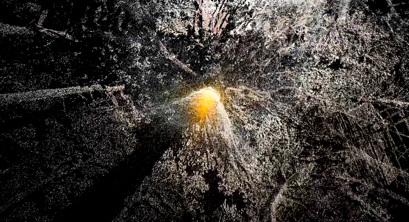 Rasa Smite & Raitis Smits – ECODATA