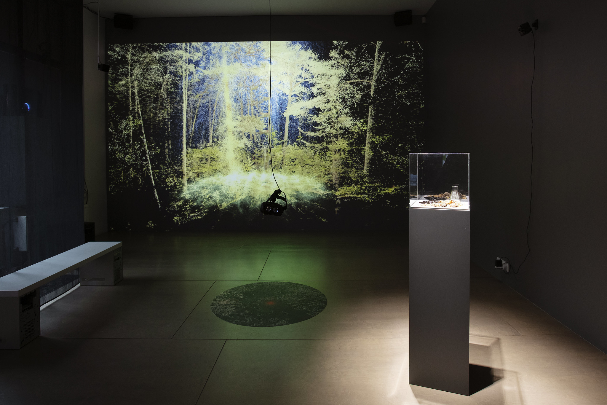 Rasa Smite & Raitis Smits – ECODATA