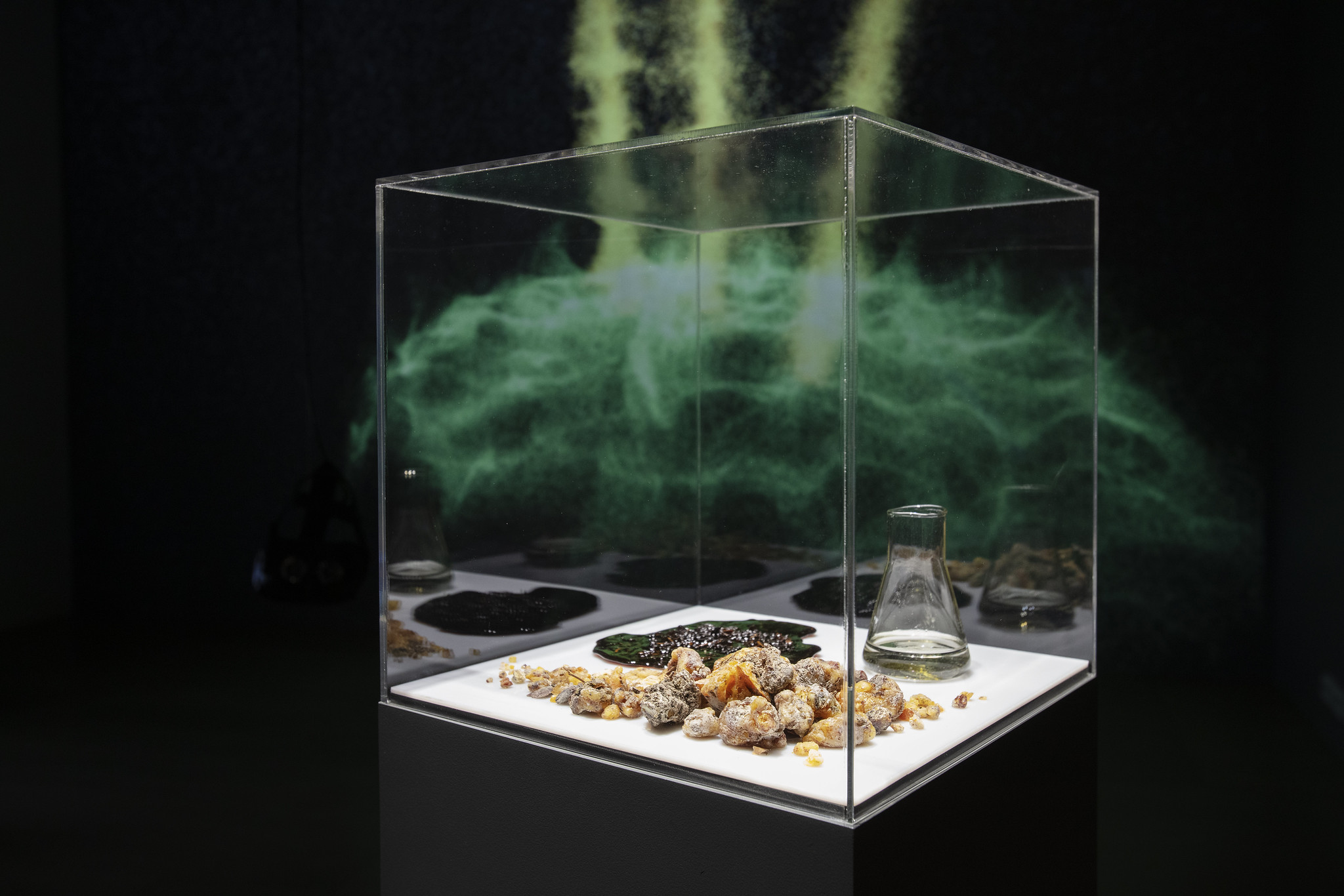 Rasa Smite & Raitis Smits – ECODATA