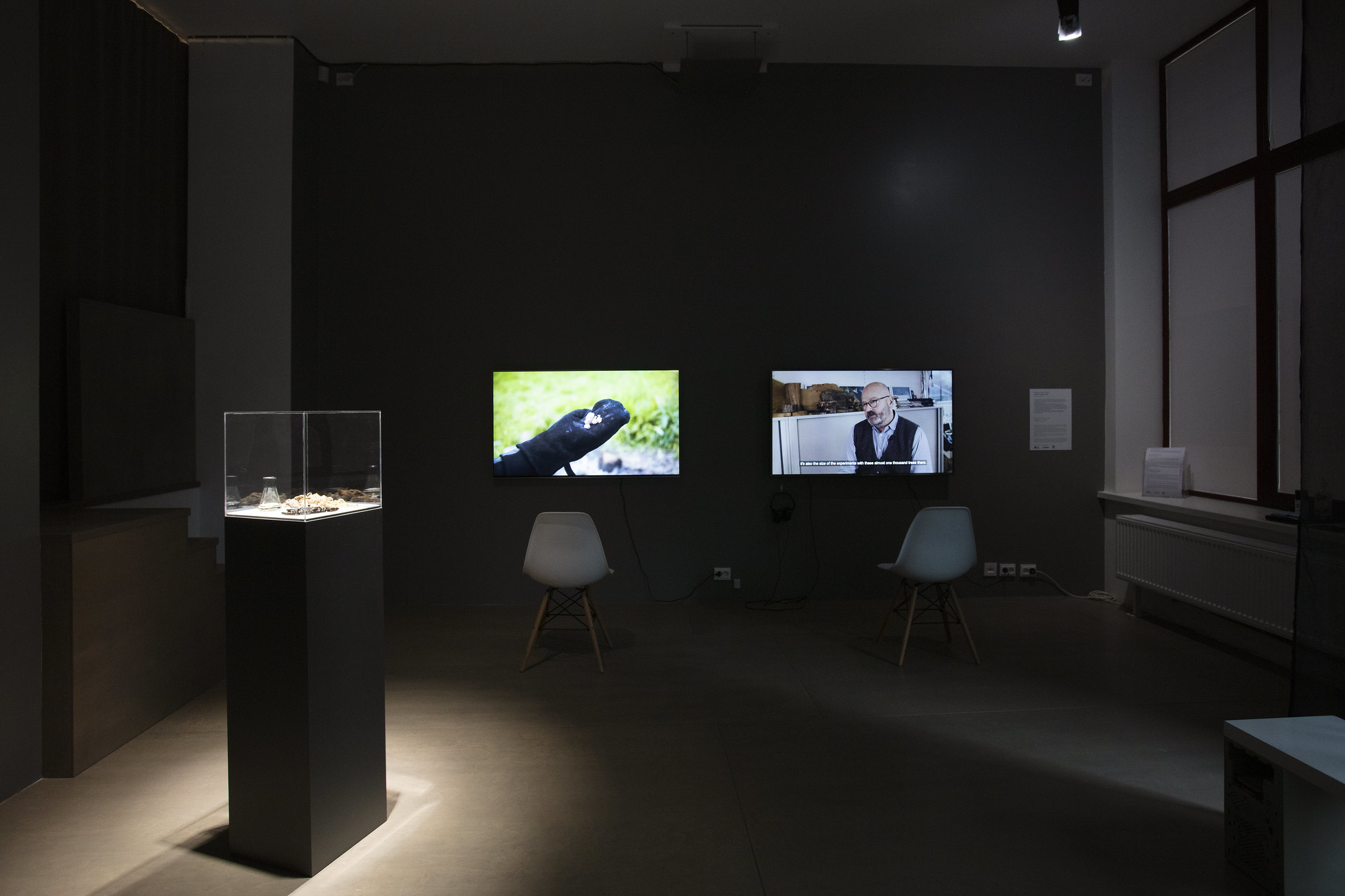 Rasa Smite & Raitis Smits – ECODATA